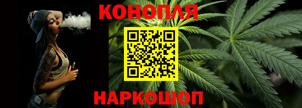 Канабис сатива Кузнецк